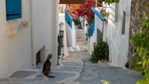 Χωριά της Νάξου